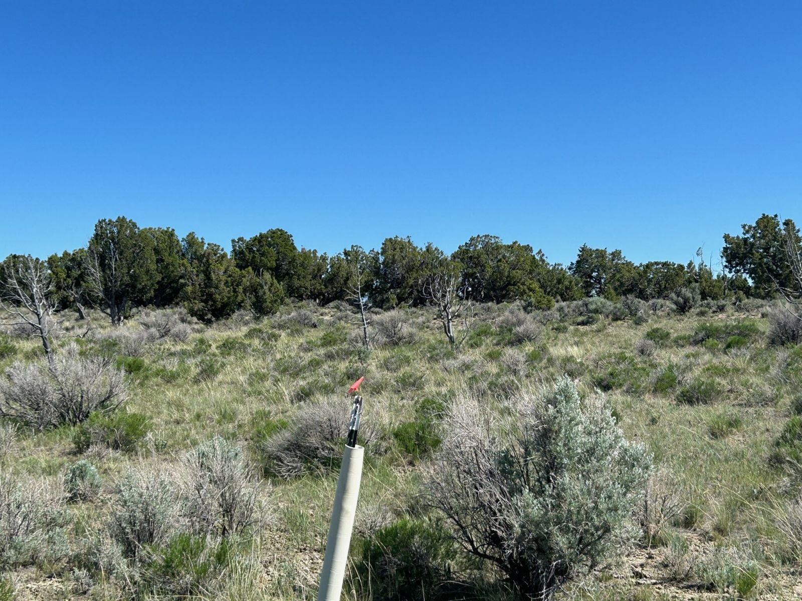 3626388 Property Photo 3