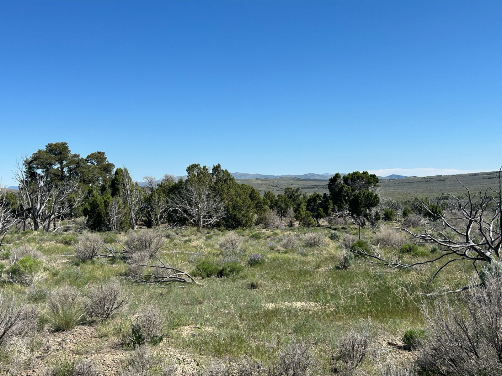 3626388 Property Photo 4