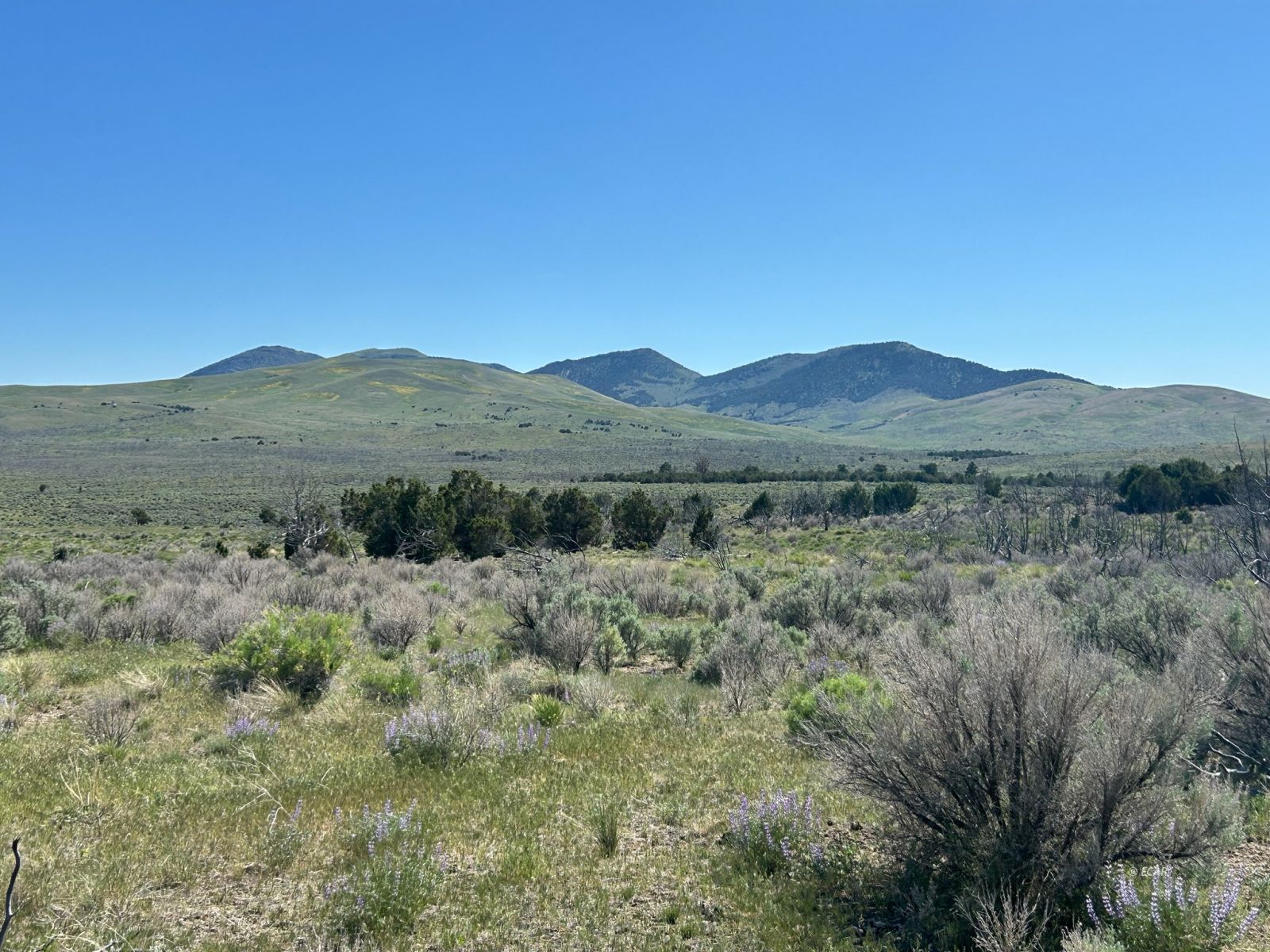 3626388 Property Photo 5