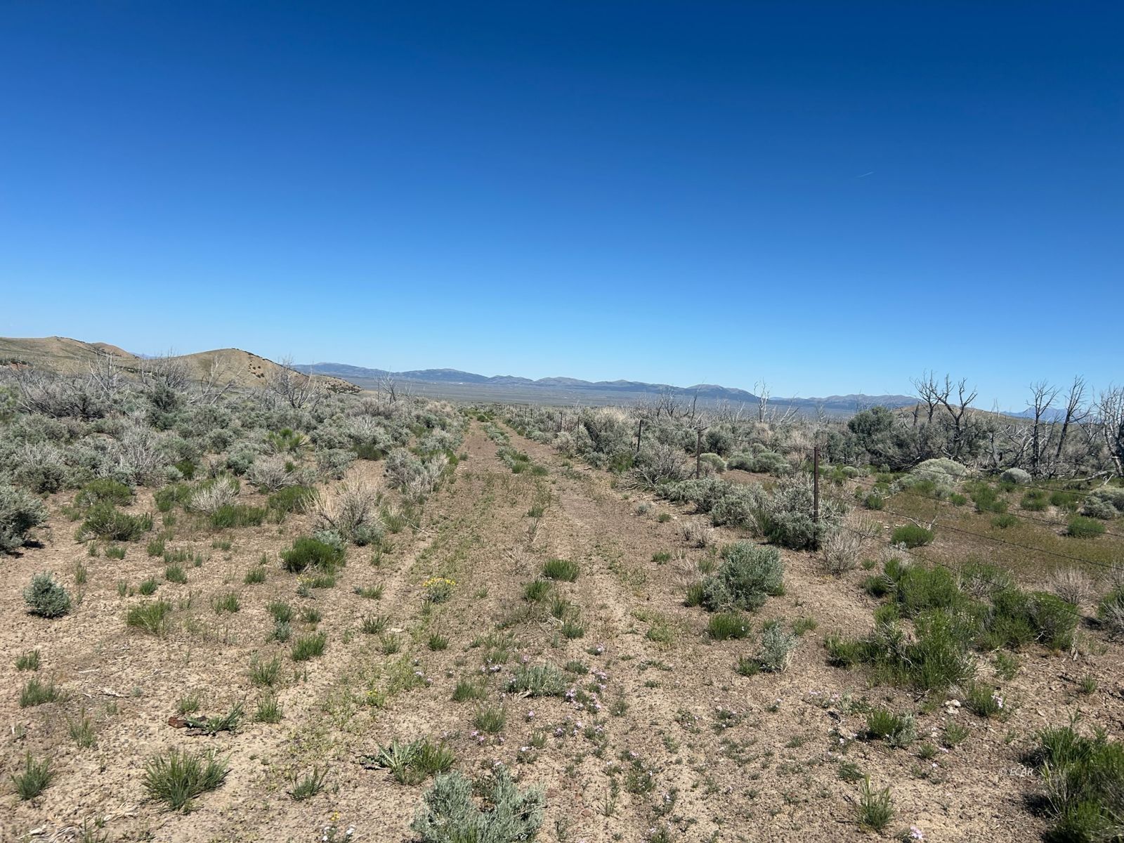 3626388 Property Photo 6