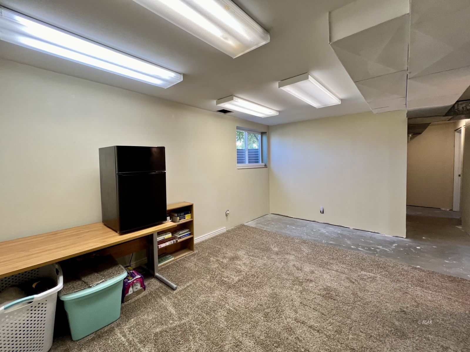 485 Antimony Street Property Photo 19