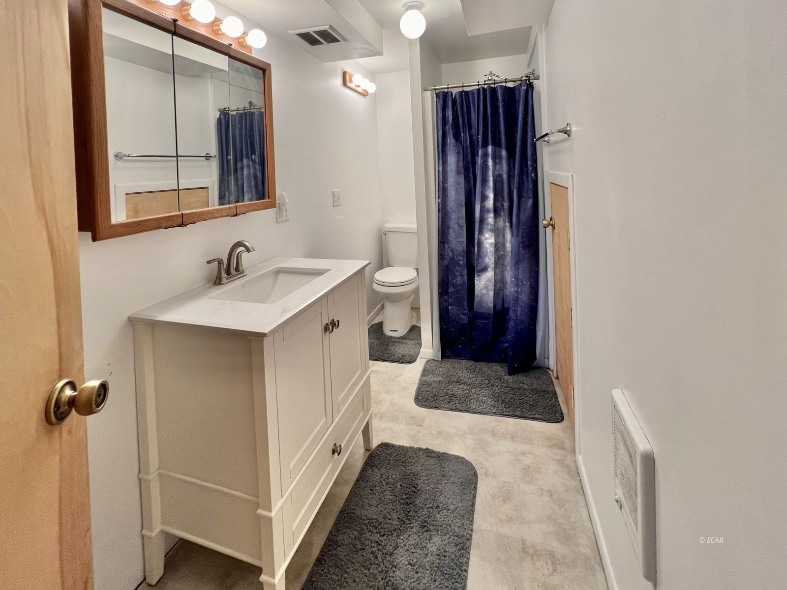 485 Antimony Street Property Photo 24