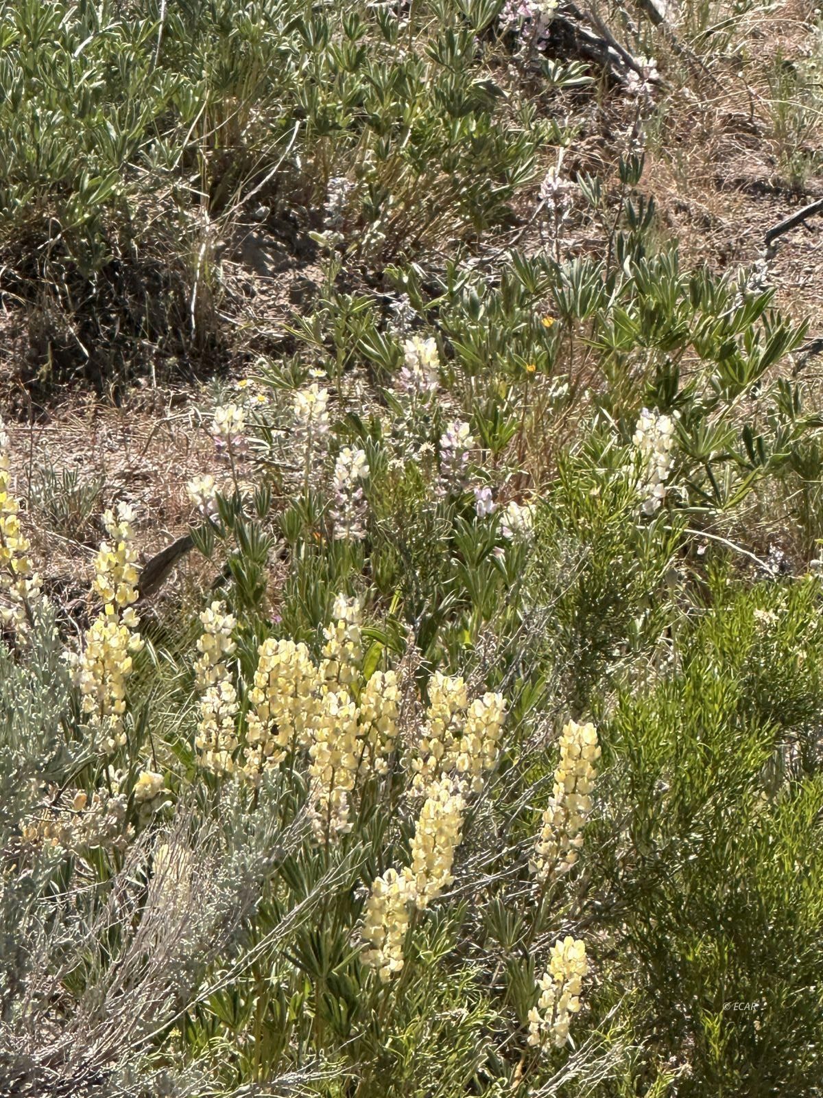 010-58S-051 Parcel Property Photo 1