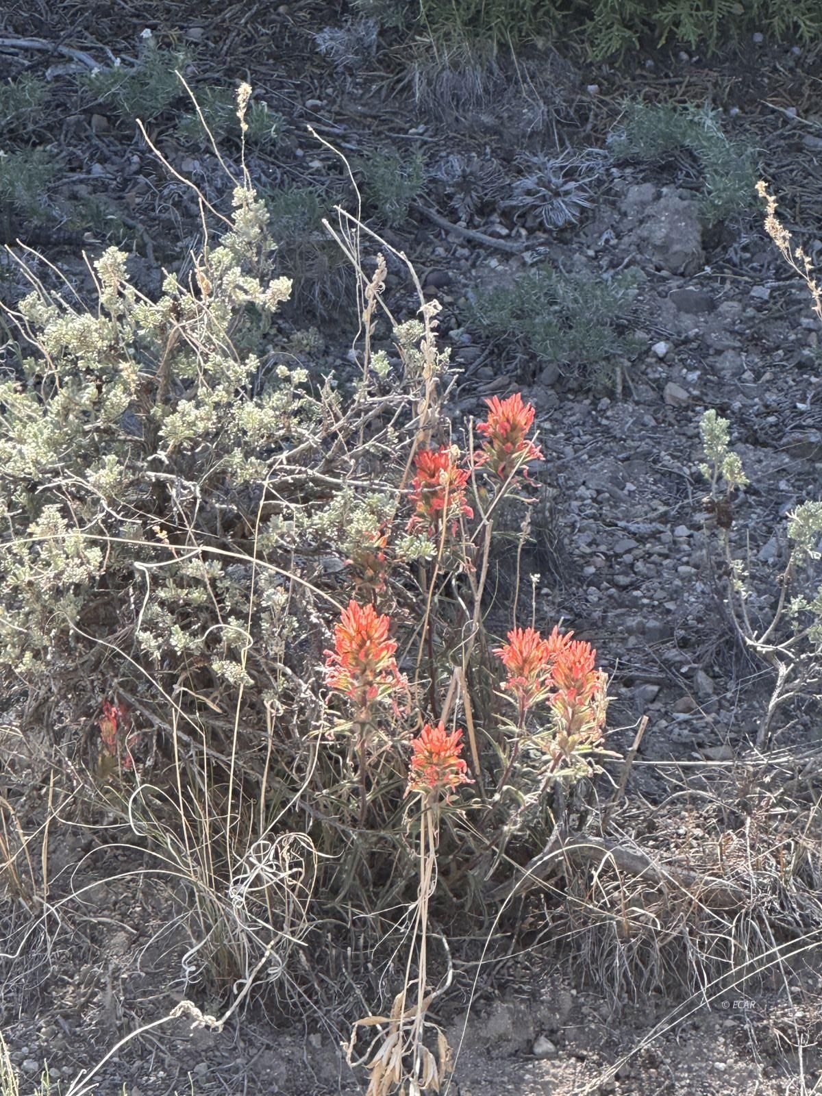 010-58s-051 Parcel Property Photo 2