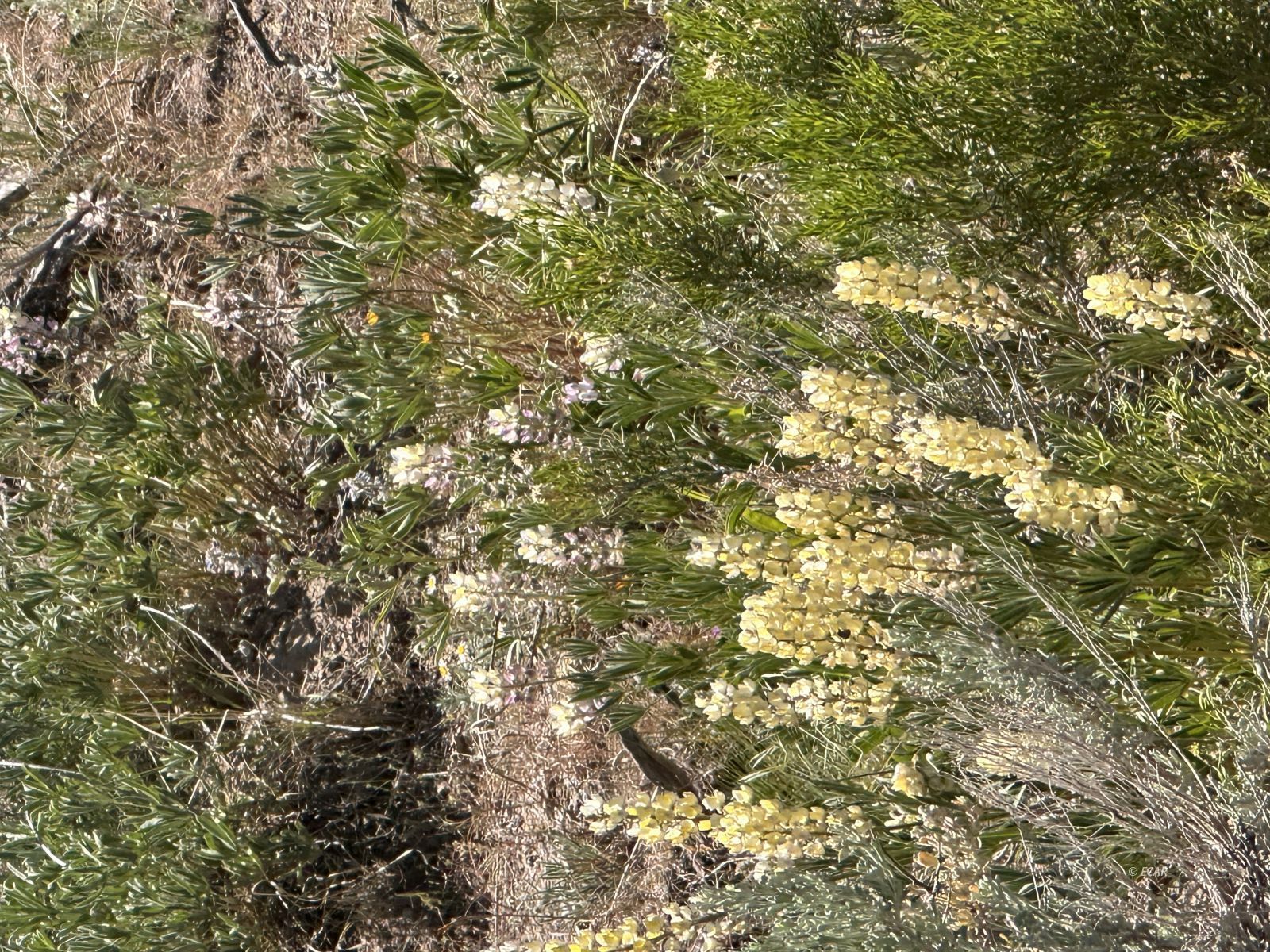 Montello Property Photo 1