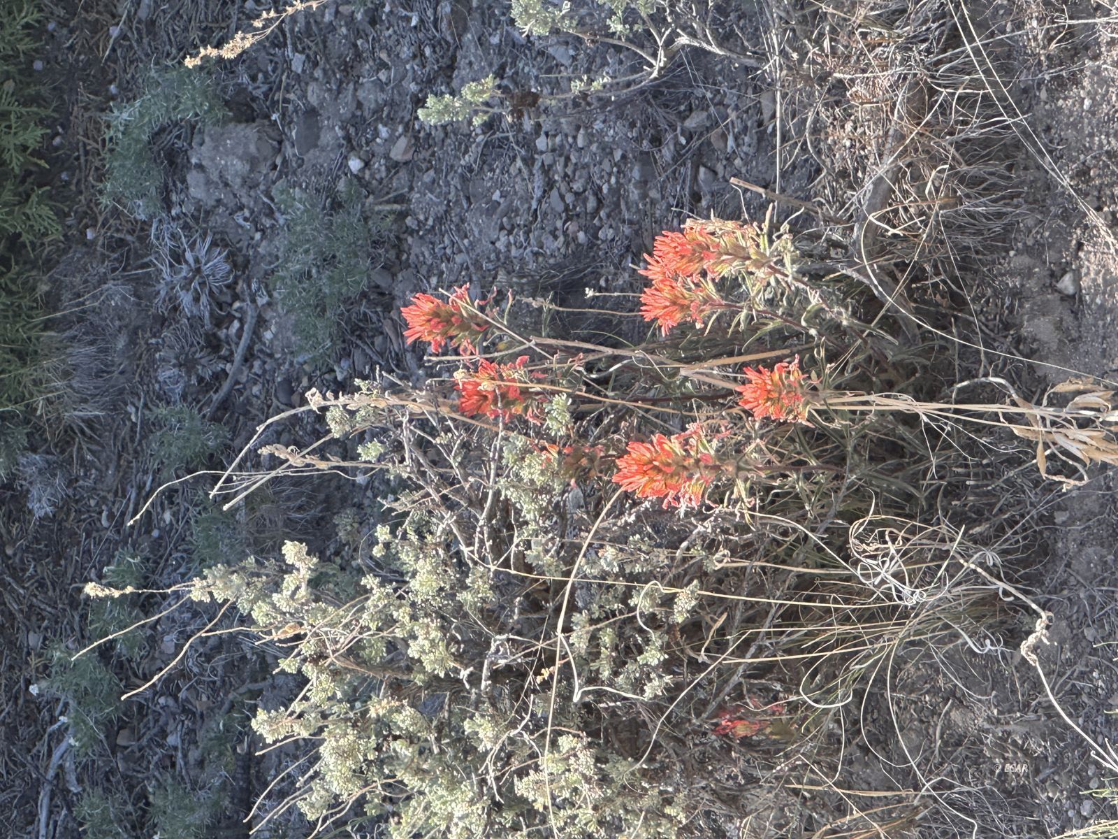 Montello Property Photo 2
