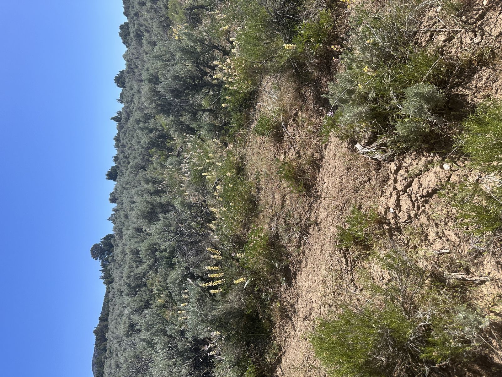 Montello Property Photo 3