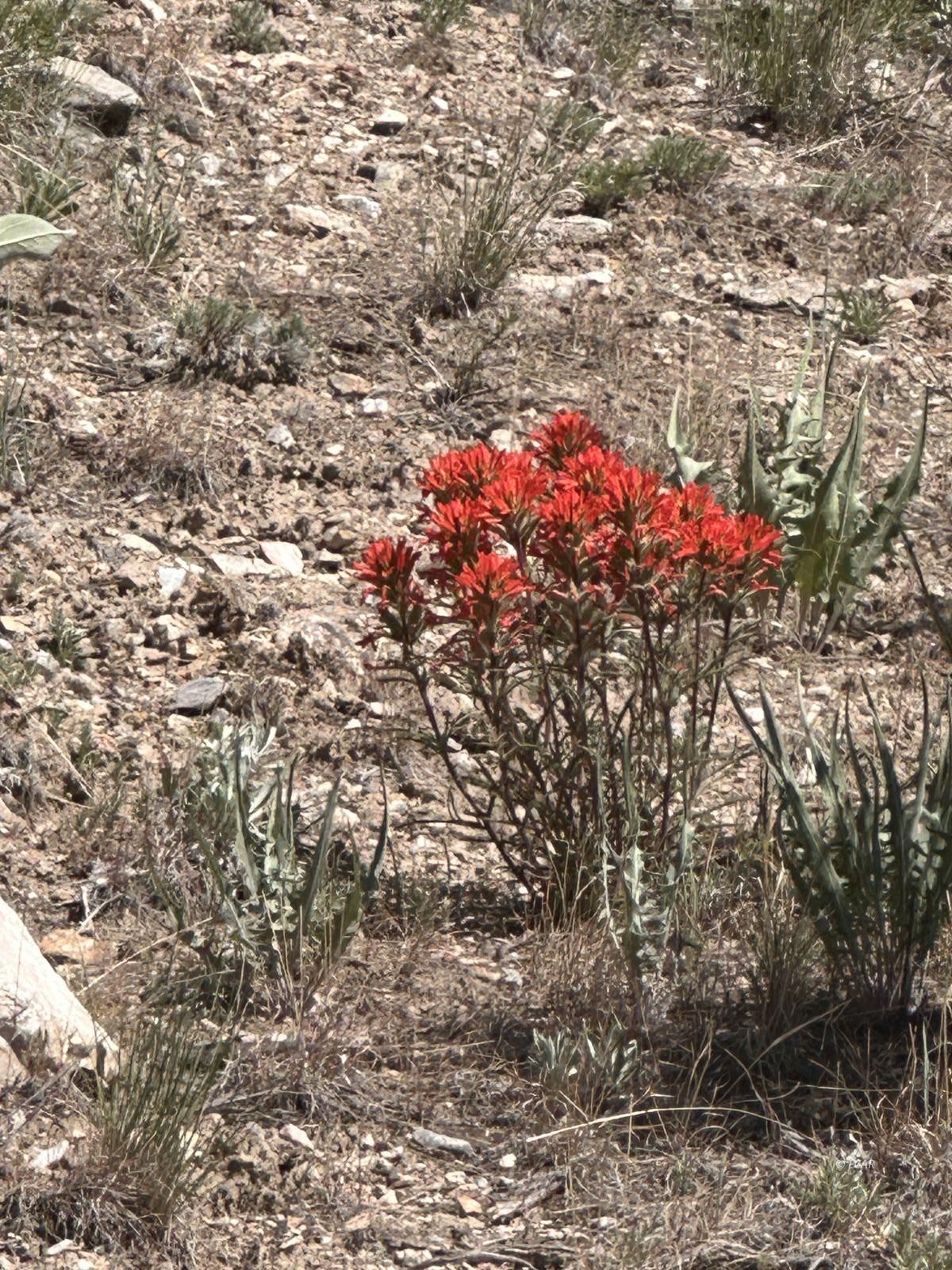 010-59E-052 Parcel Property Photo 1