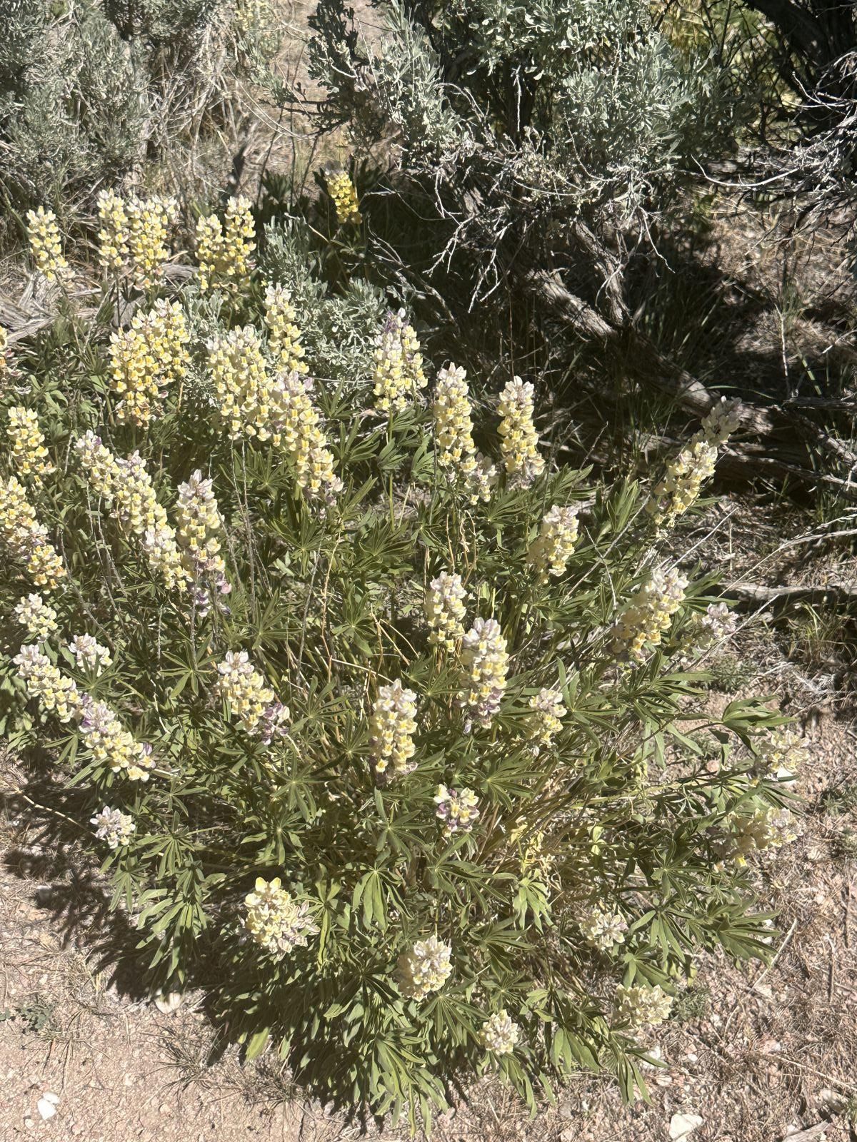 010-59e-052 Parcel Property Photo 2