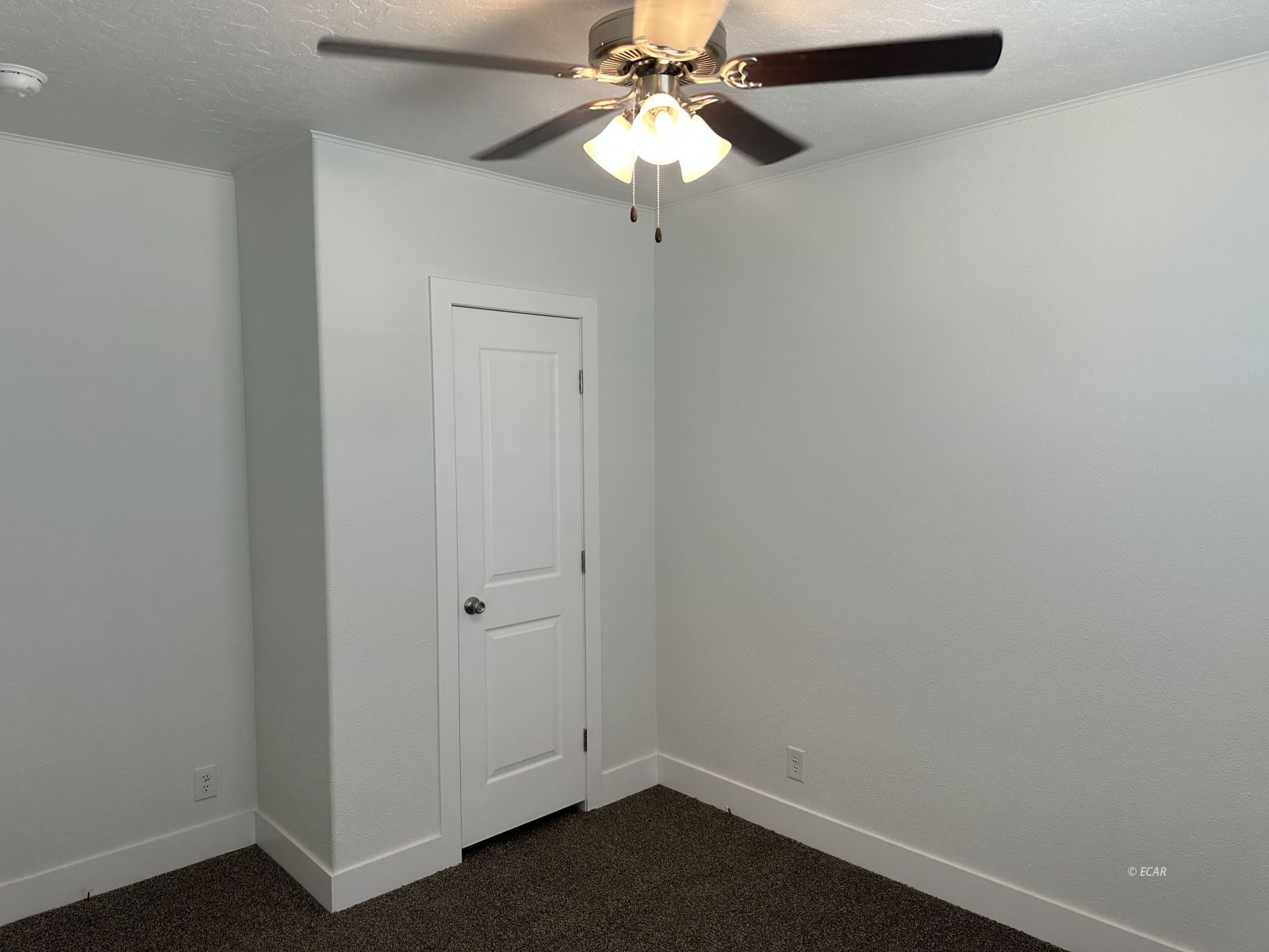 335 Trescartes Avenue Property Photo 19