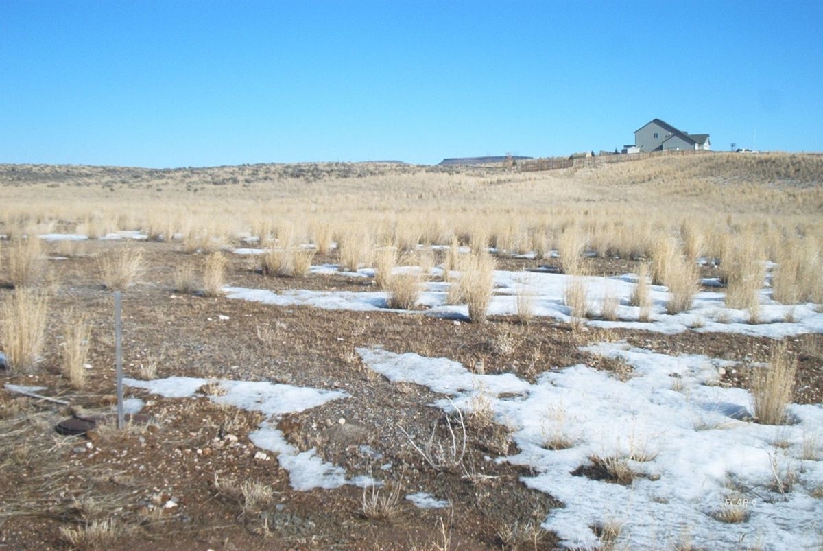 Royal Flush Dr Drive Property Photo