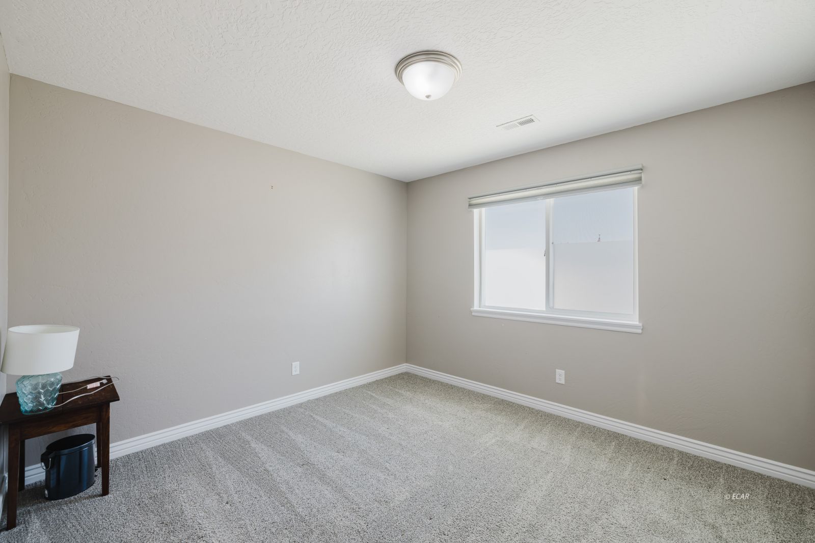 1736 Village Parkway Property Photo 31