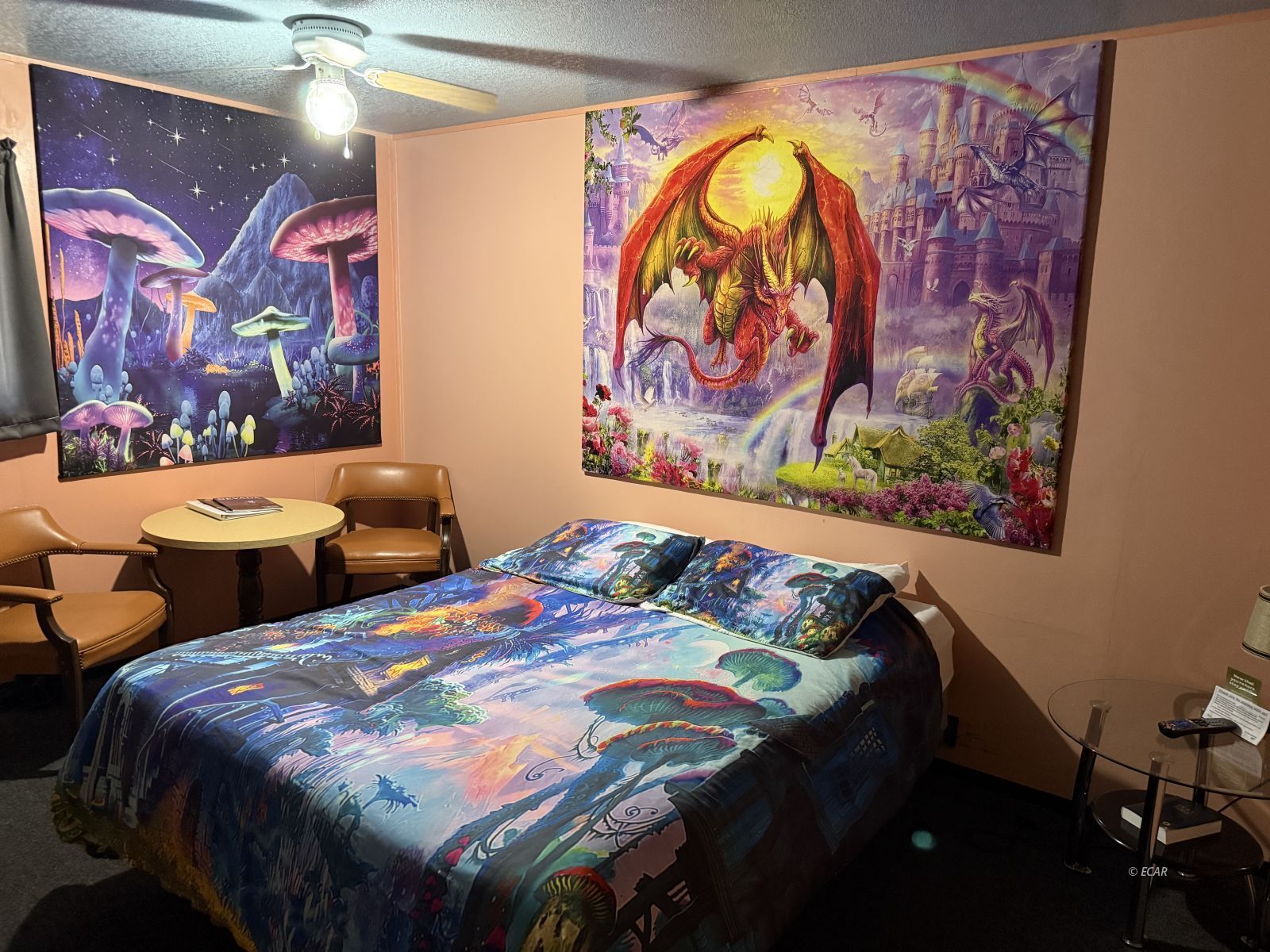 1144 S Us 93 Highway Property Photo 21