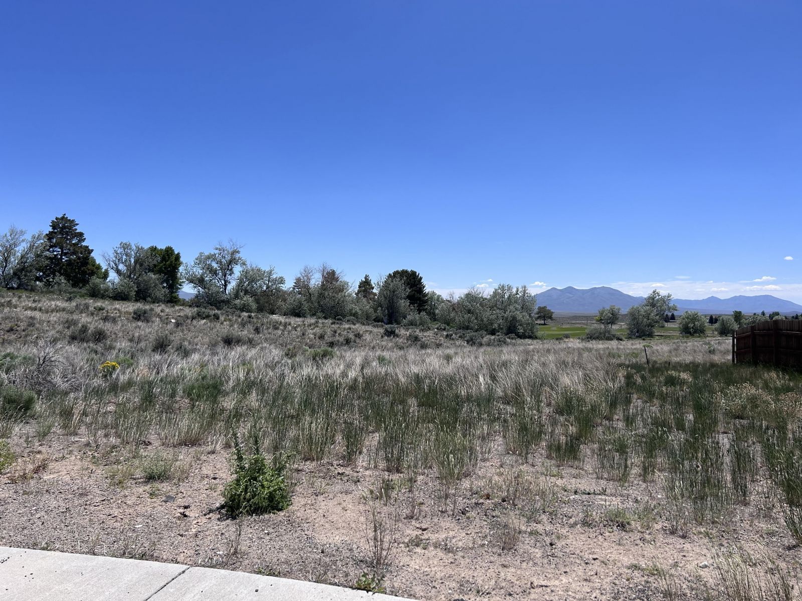Double Down Property Photo