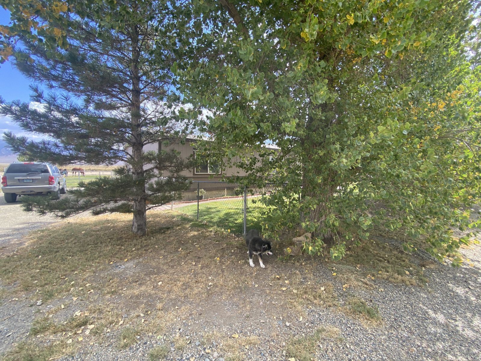 451 Manley Ranch Road Property Photo 4