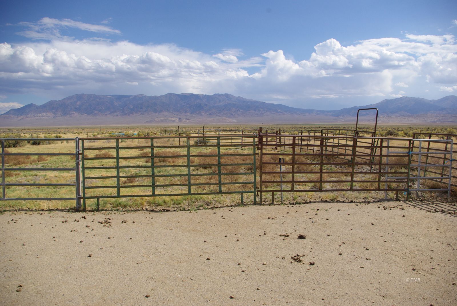 451 Manley Ranch Road Property Photo 31