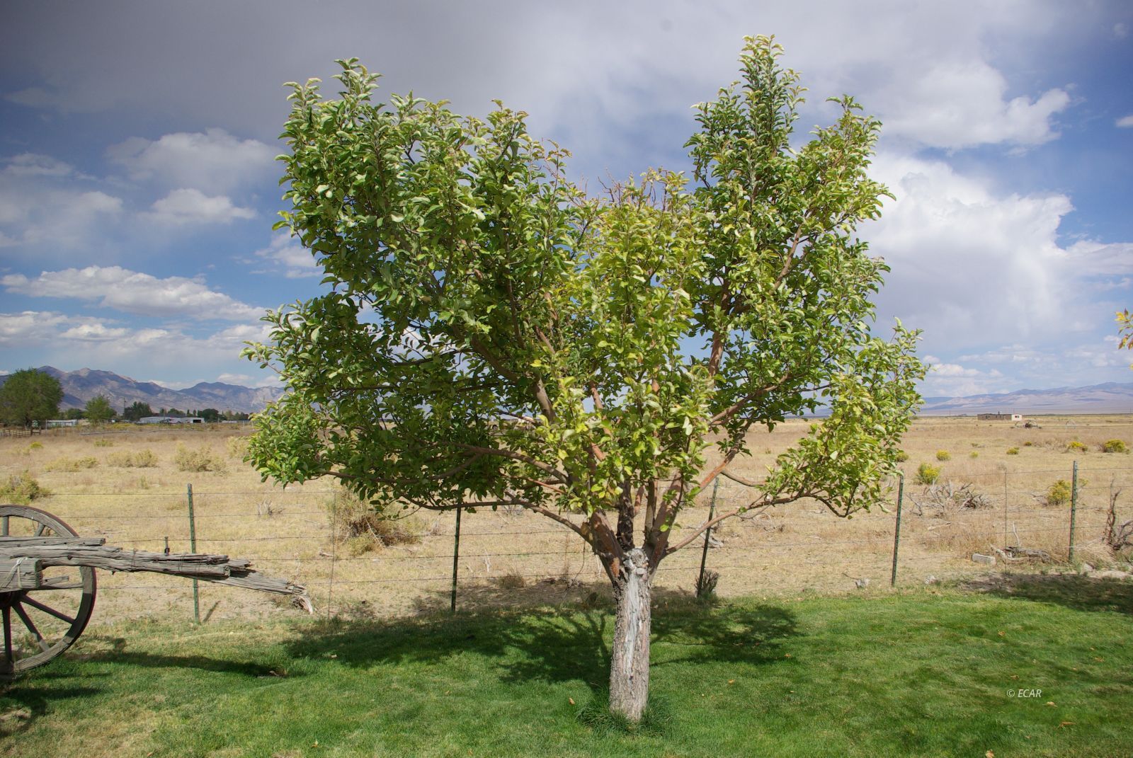 451 Manley Ranch Road Property Photo 36