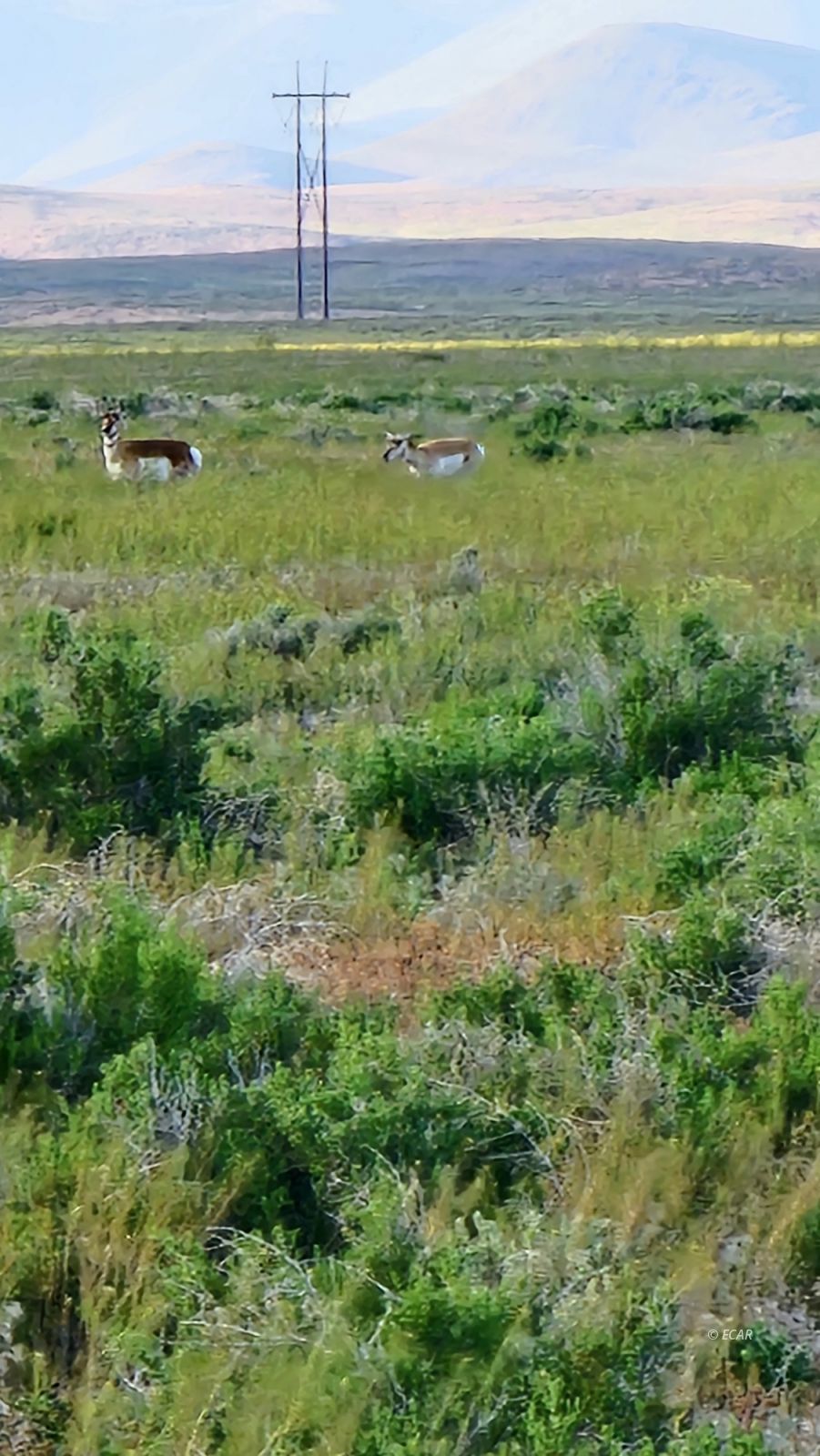 400 Cold Spring Point Road Property Photo 2