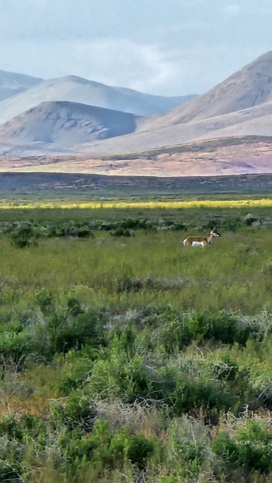 400 Cold Spring Point Road Property Photo 3