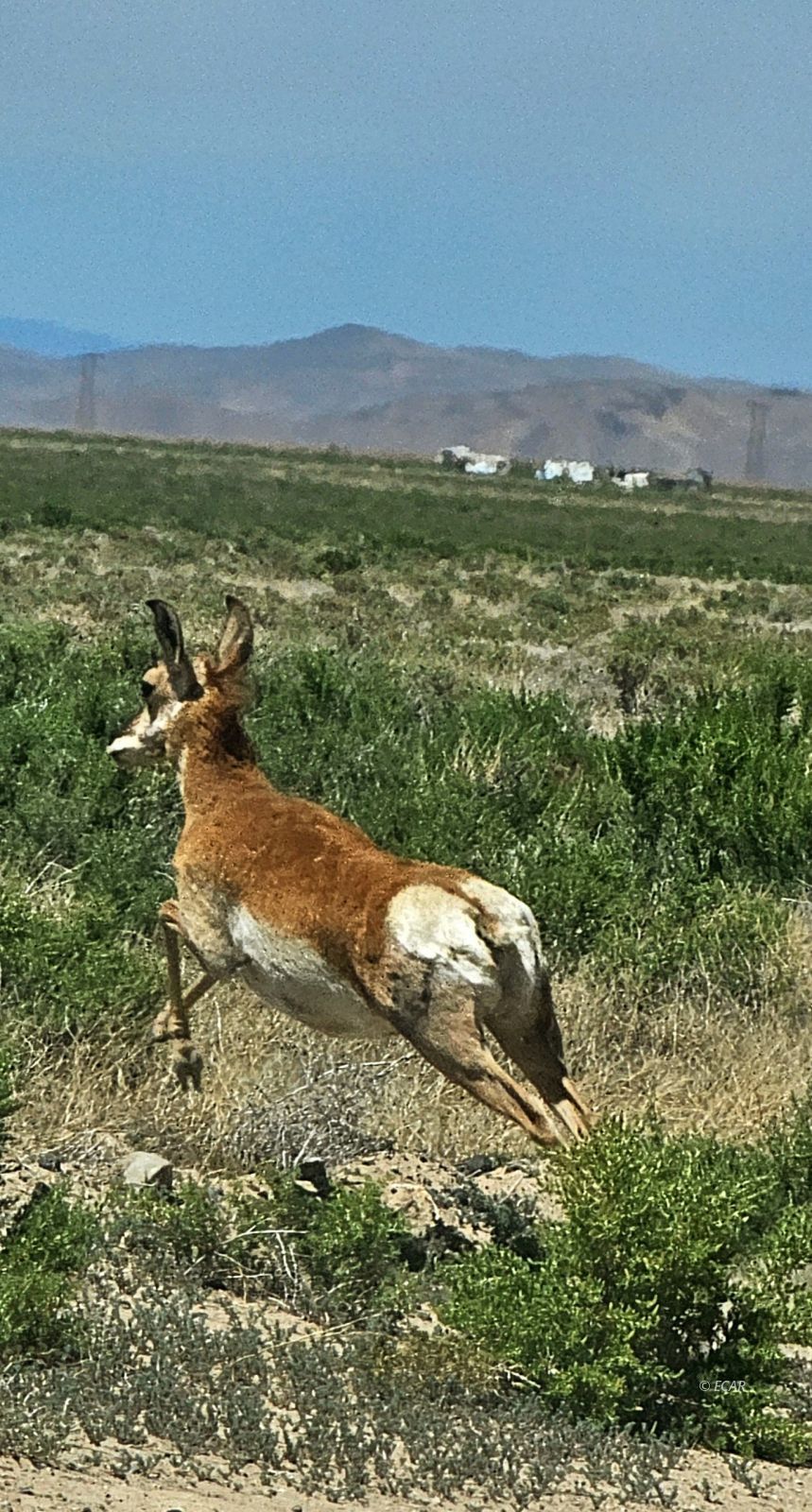 400 Cold Spring Point Road Property Photo 23