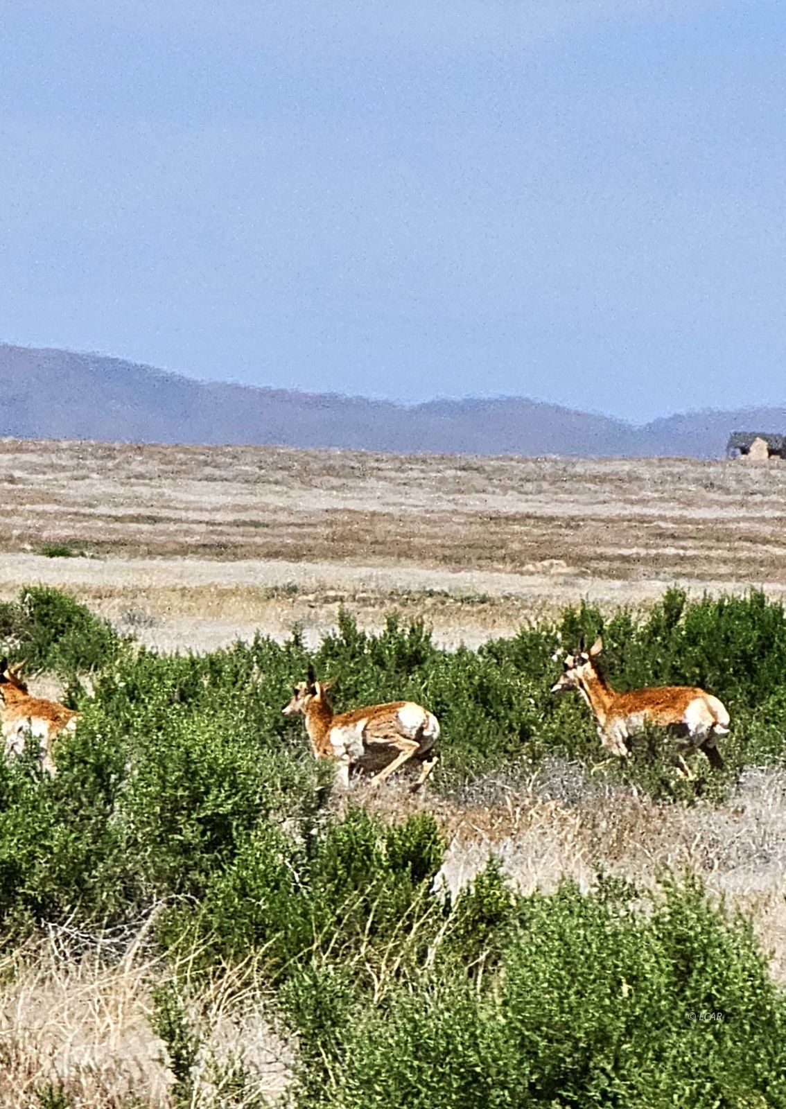 400 Cold Spring Point Road Property Photo 24