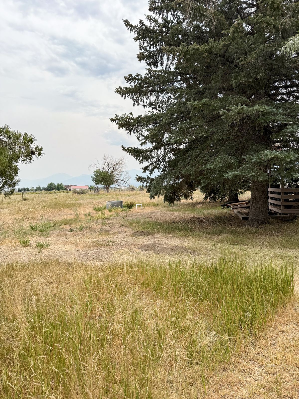 845 Ashburn Drive Property Photo 22