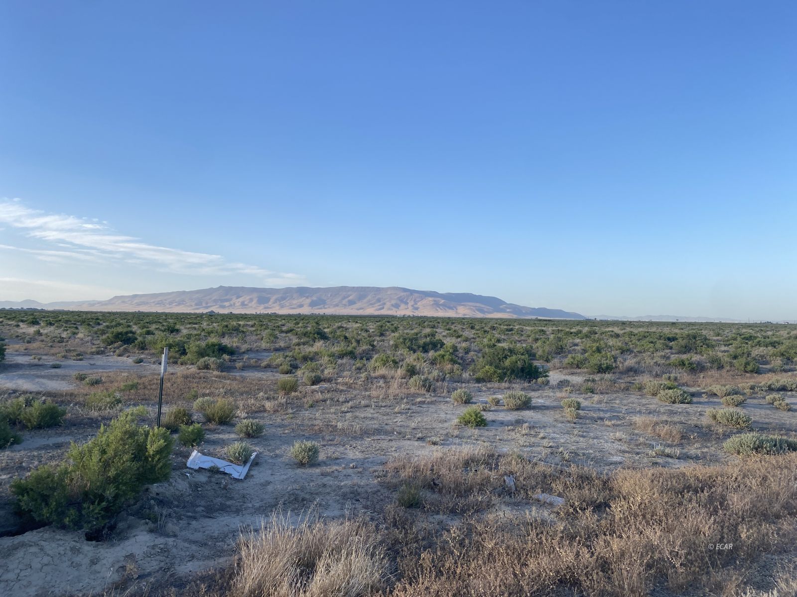 1235 James Madison Avenue Property Photo 7