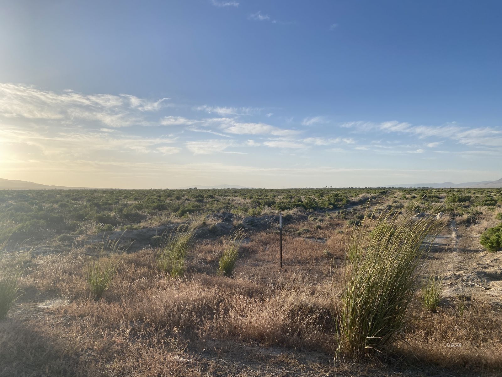 1235 James Madison Avenue Property Photo 8