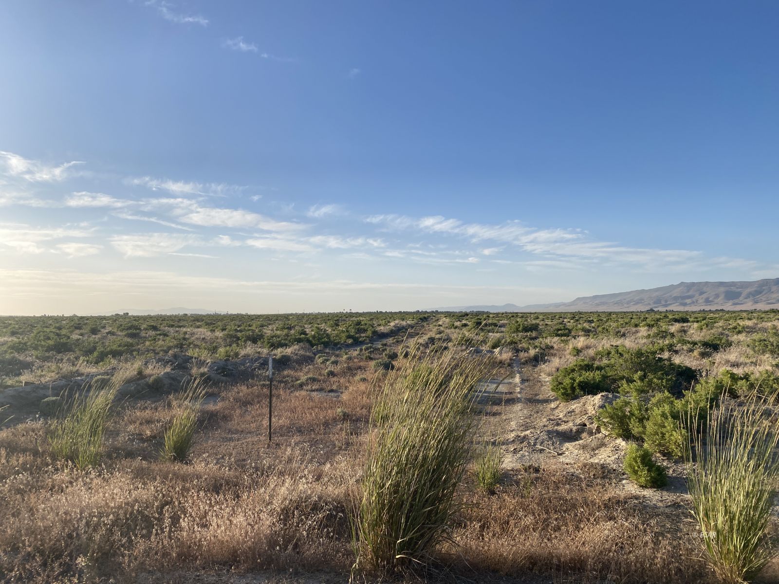 1235 James Madison Avenue Property Photo 9