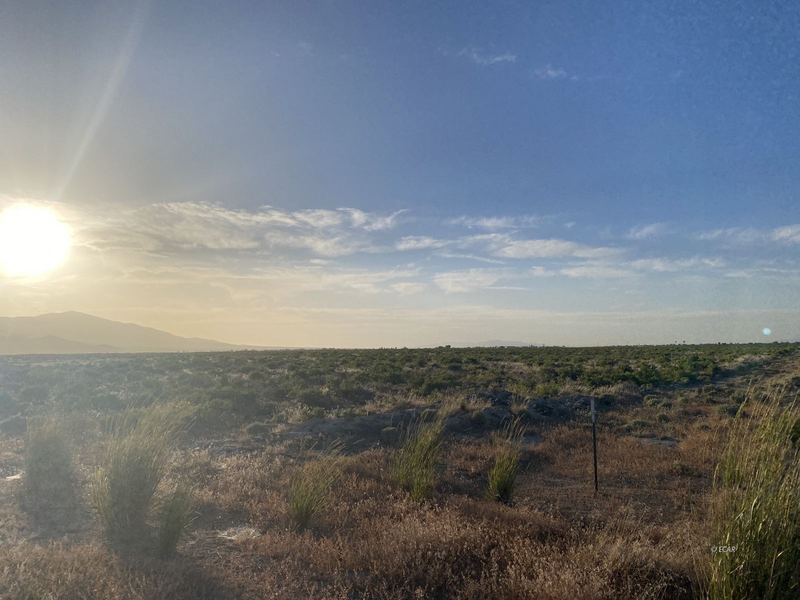 1235 James Madison Avenue Property Photo 10