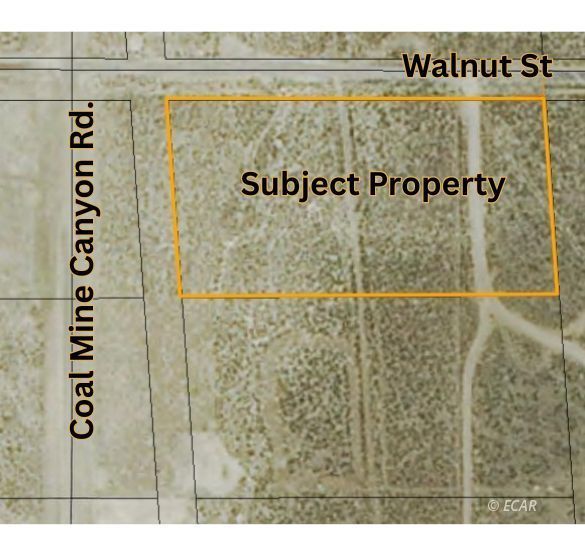 072006013 Walnut Street Property Photo 7