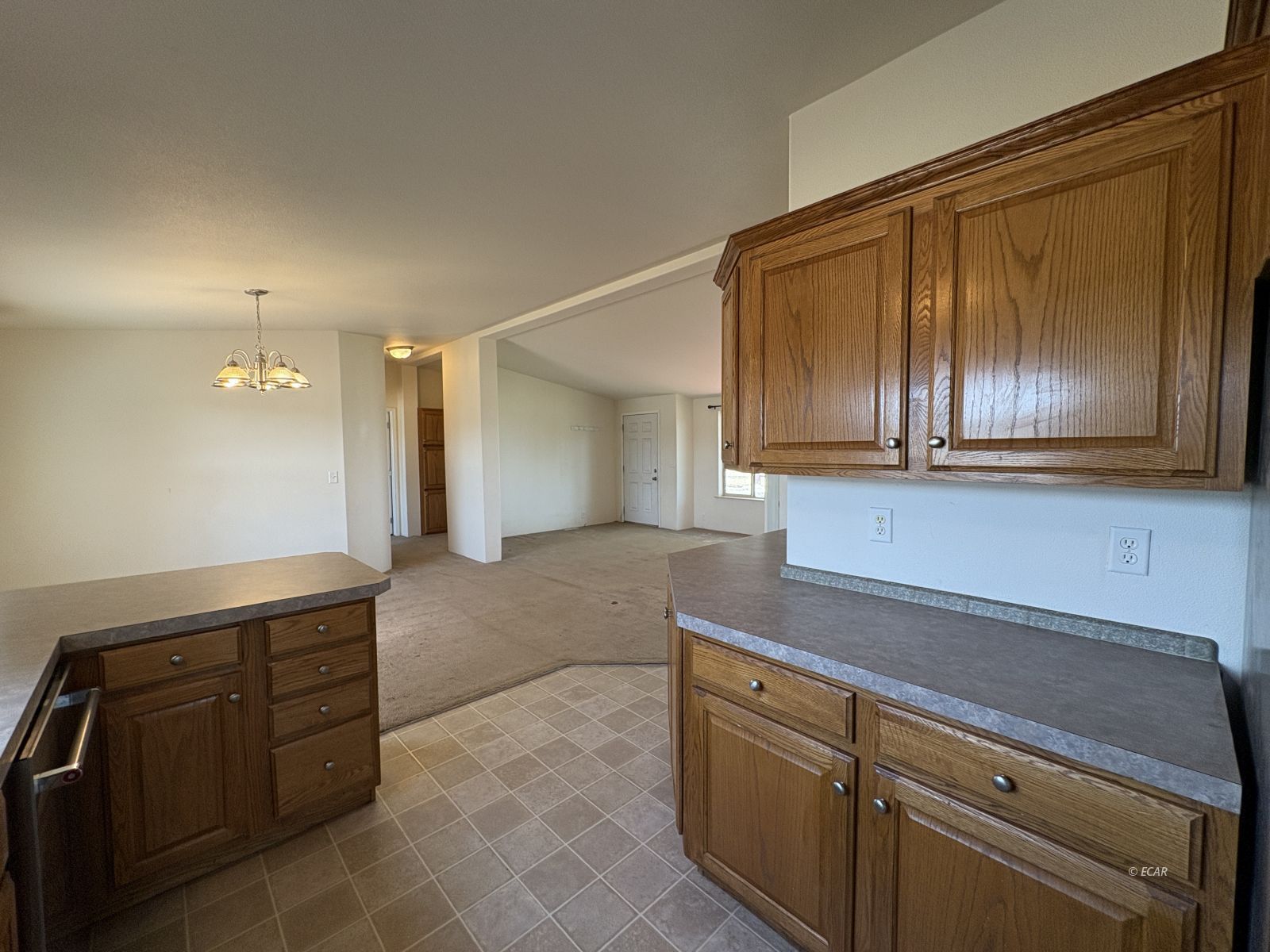 6825 W Rose Creek Road Property Photo 19