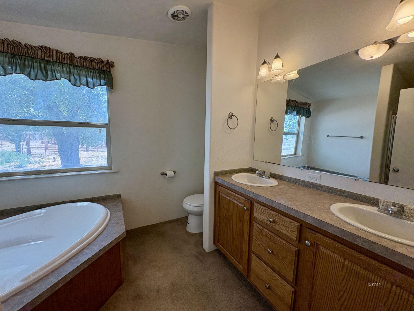 6825 W Rose Creek Road Property Photo 22