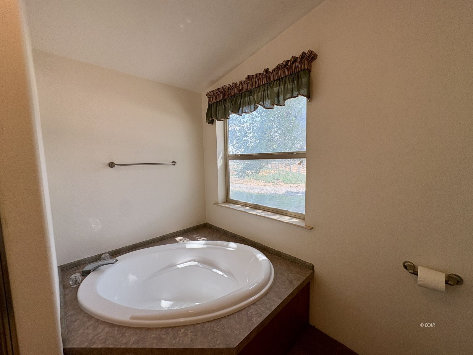 6825 W Rose Creek Road Property Photo 23
