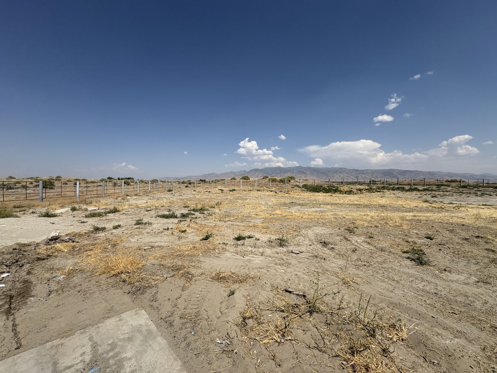 6825 W Rose Creek Road Property Photo 31
