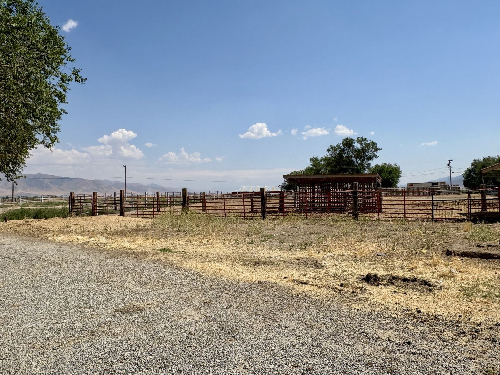 6825 W Rose Creek Road Property Photo 37