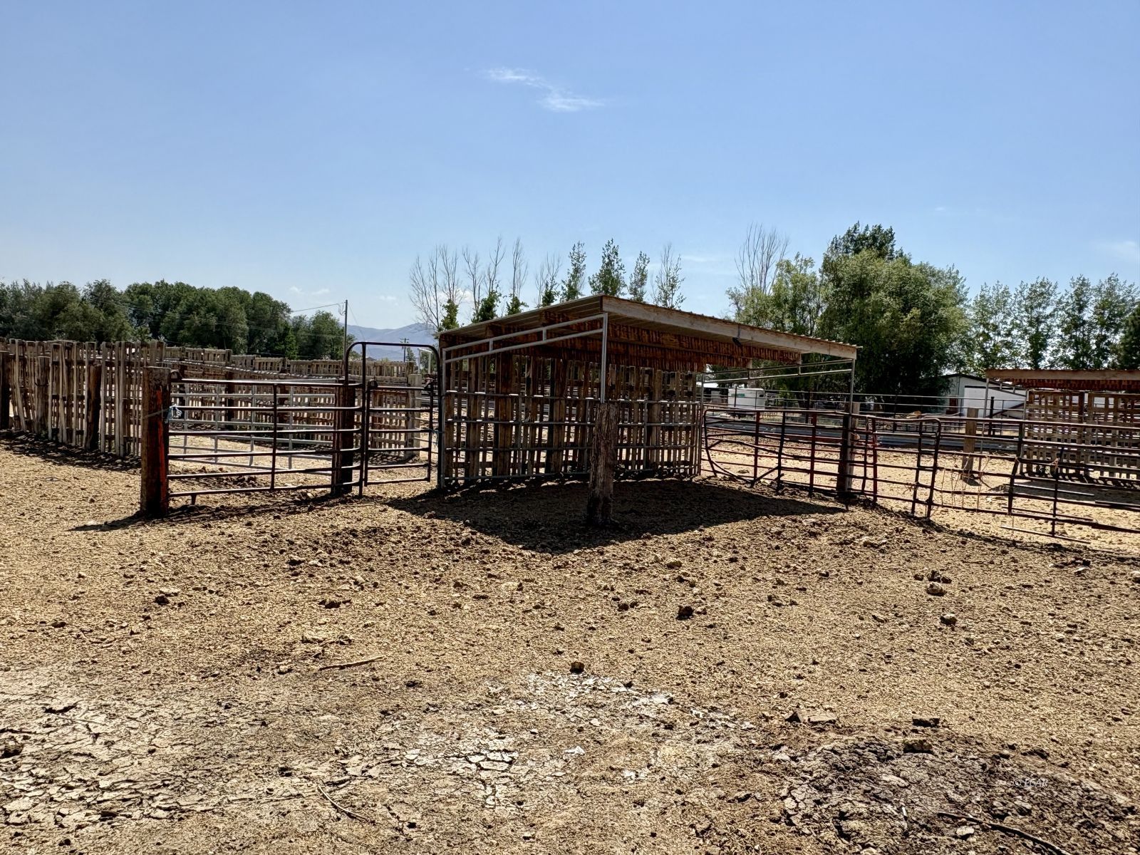 6825 W Rose Creek Road Property Photo 39