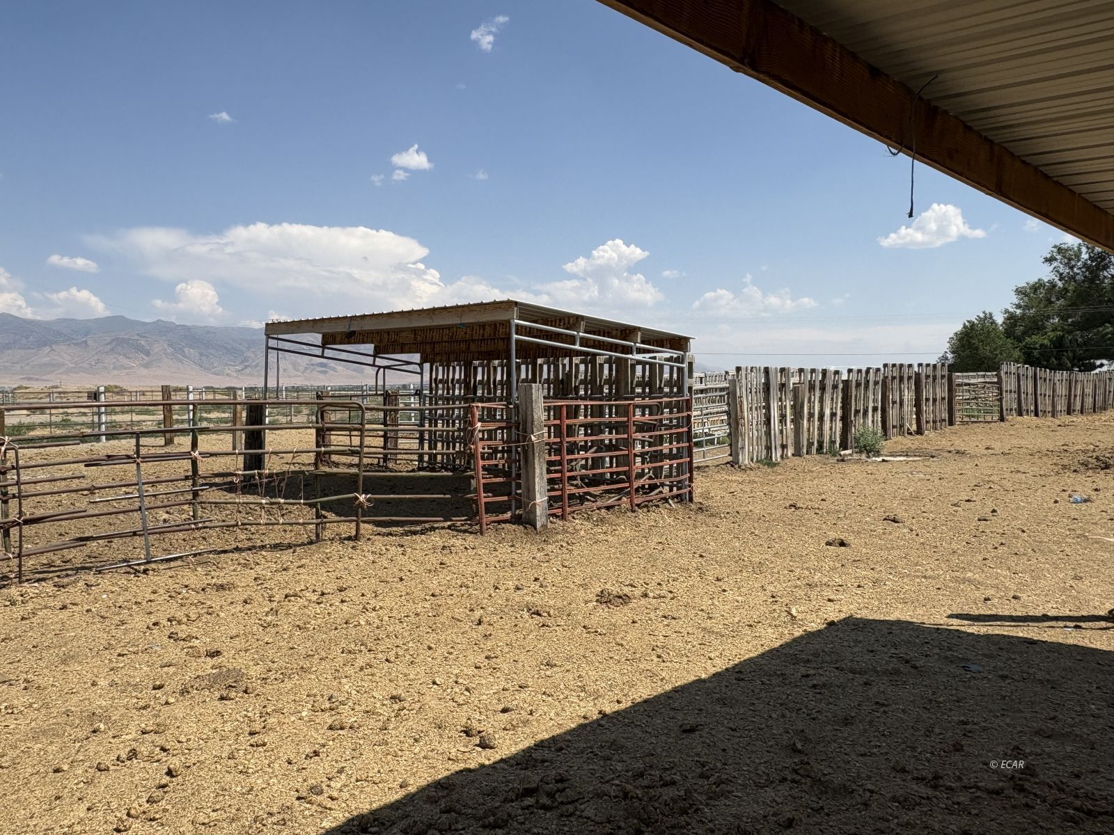 6825 W Rose Creek Road Property Photo 42