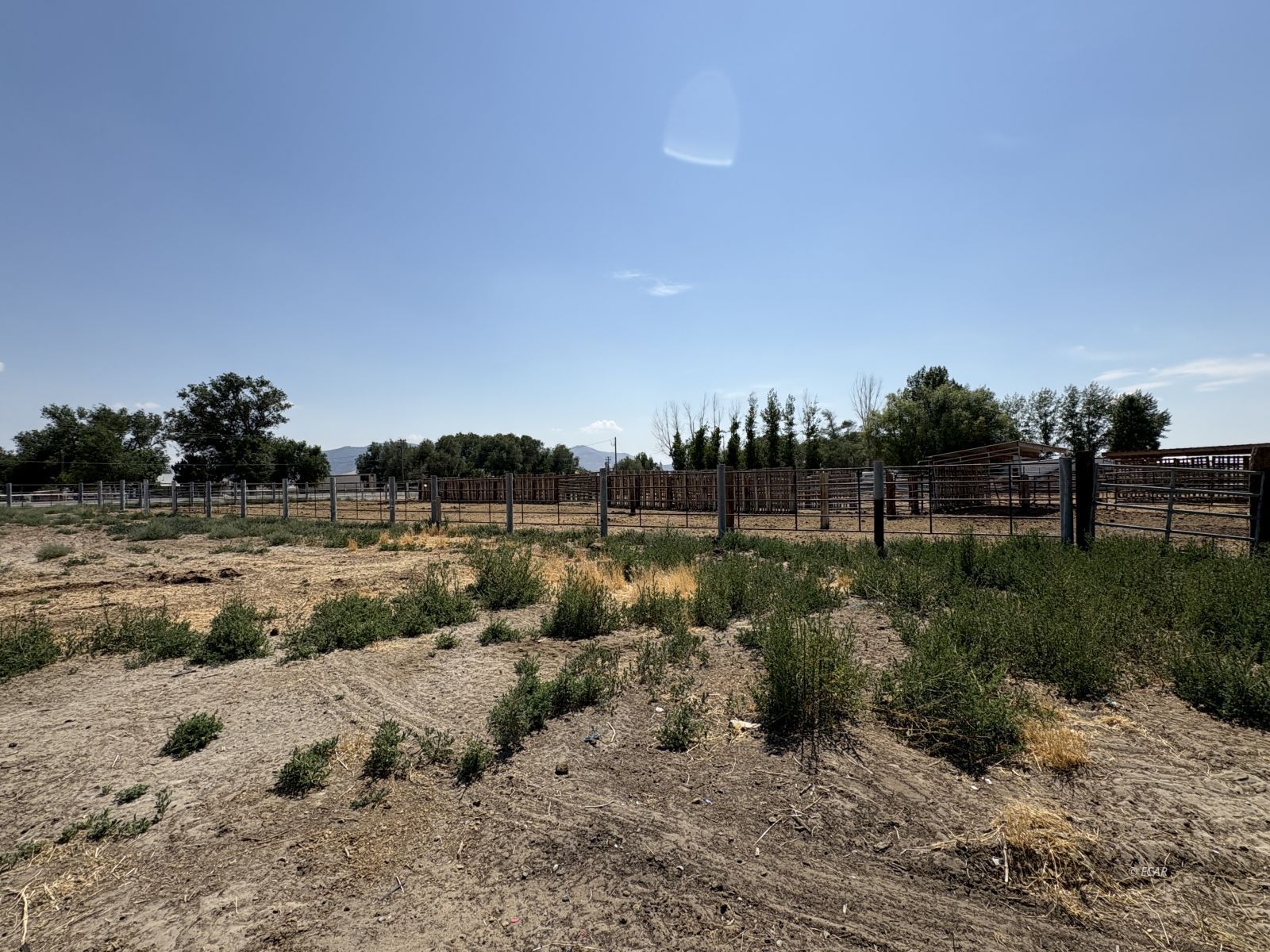 6825 W Rose Creek Road Property Photo 43