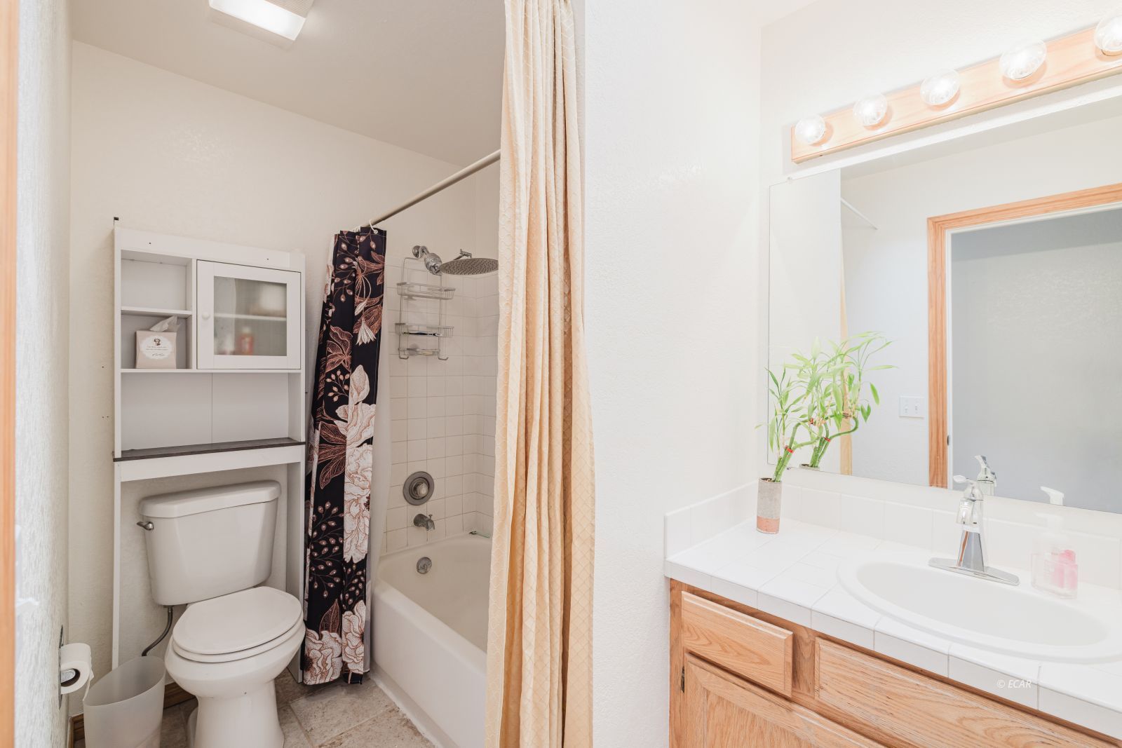 491 Blakeland Drive Property Photo 18