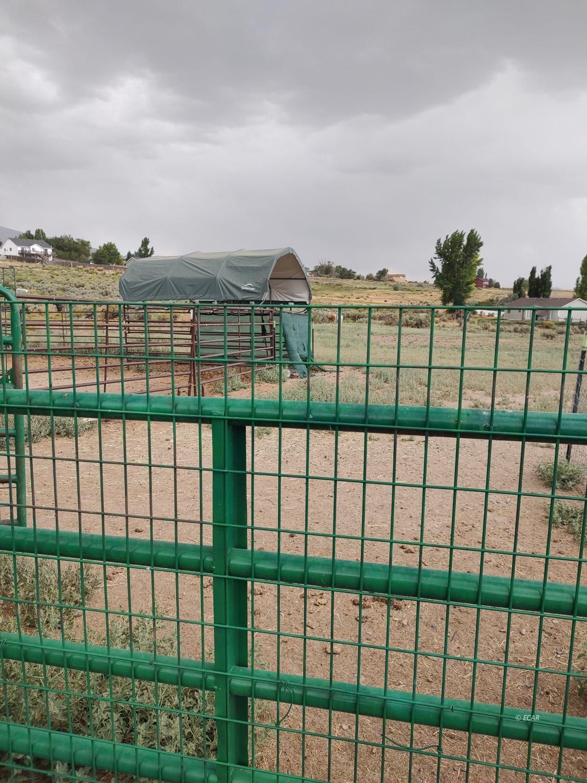 491 Blakeland Drive Property Photo 36