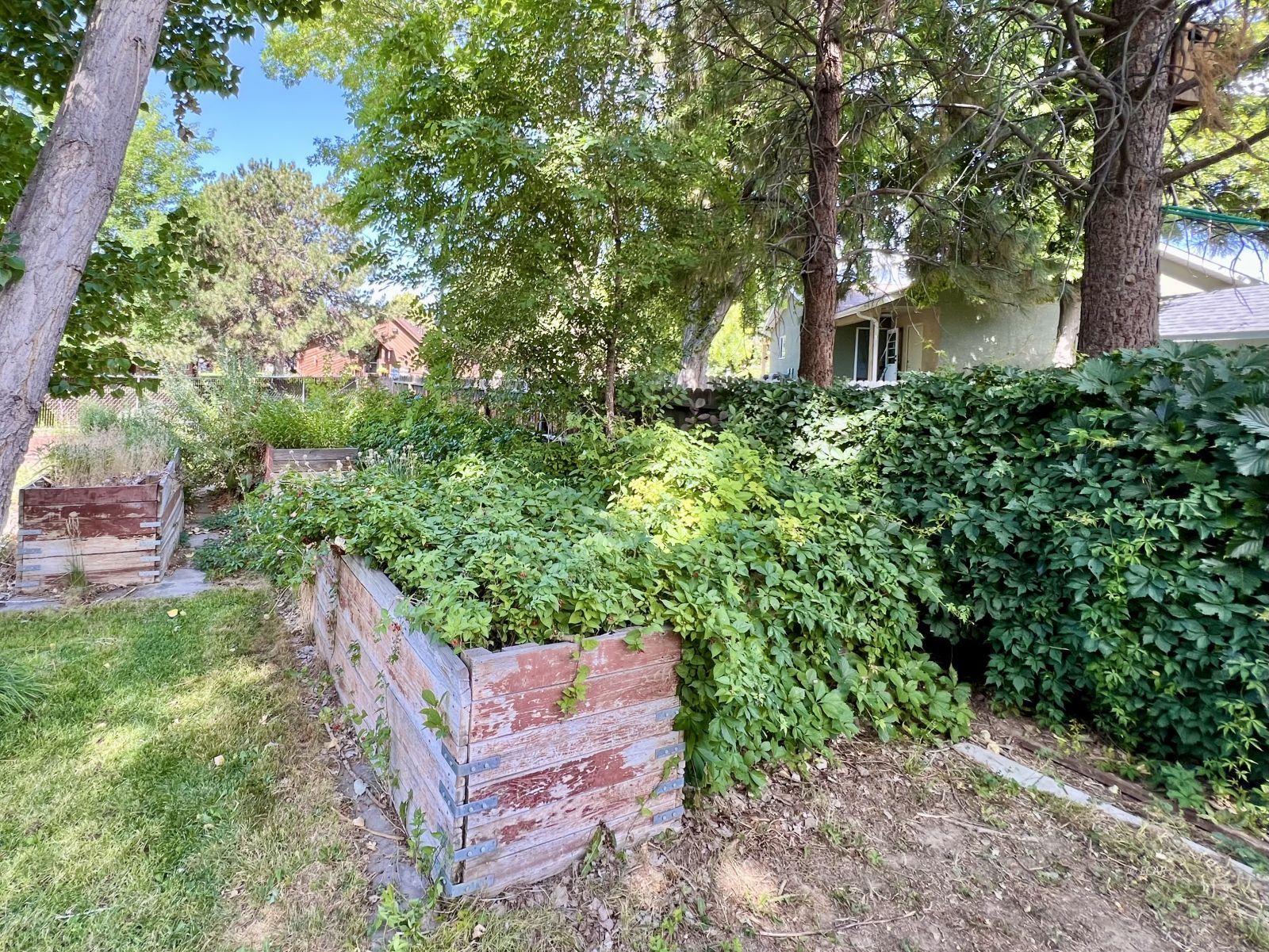 1265 Dotta Drive Property Photo 36