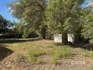 853 Wilson Avenue Property Photo 6