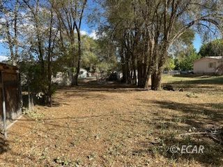 853 Wilson Avenue Property Photo 8