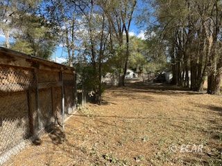 853 Wilson Avenue Property Photo 9