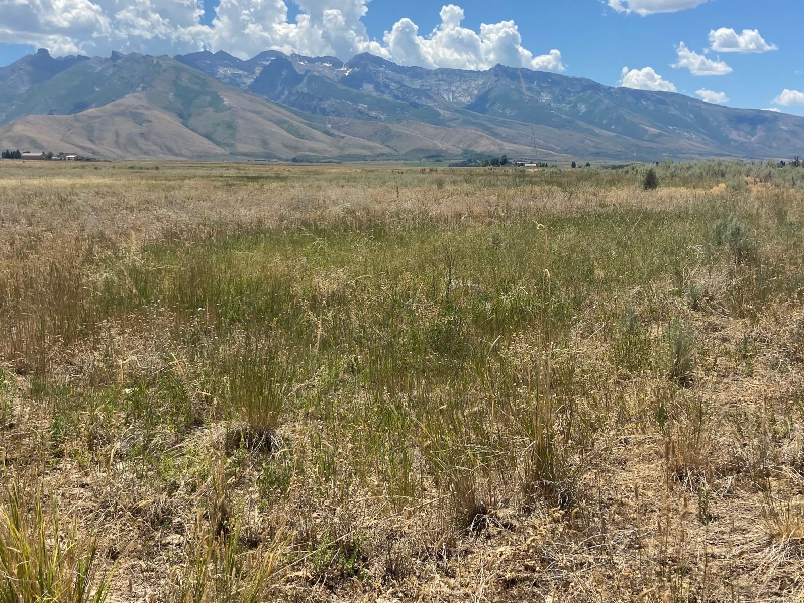 80.21 Acres Parcel A Property Photo 2