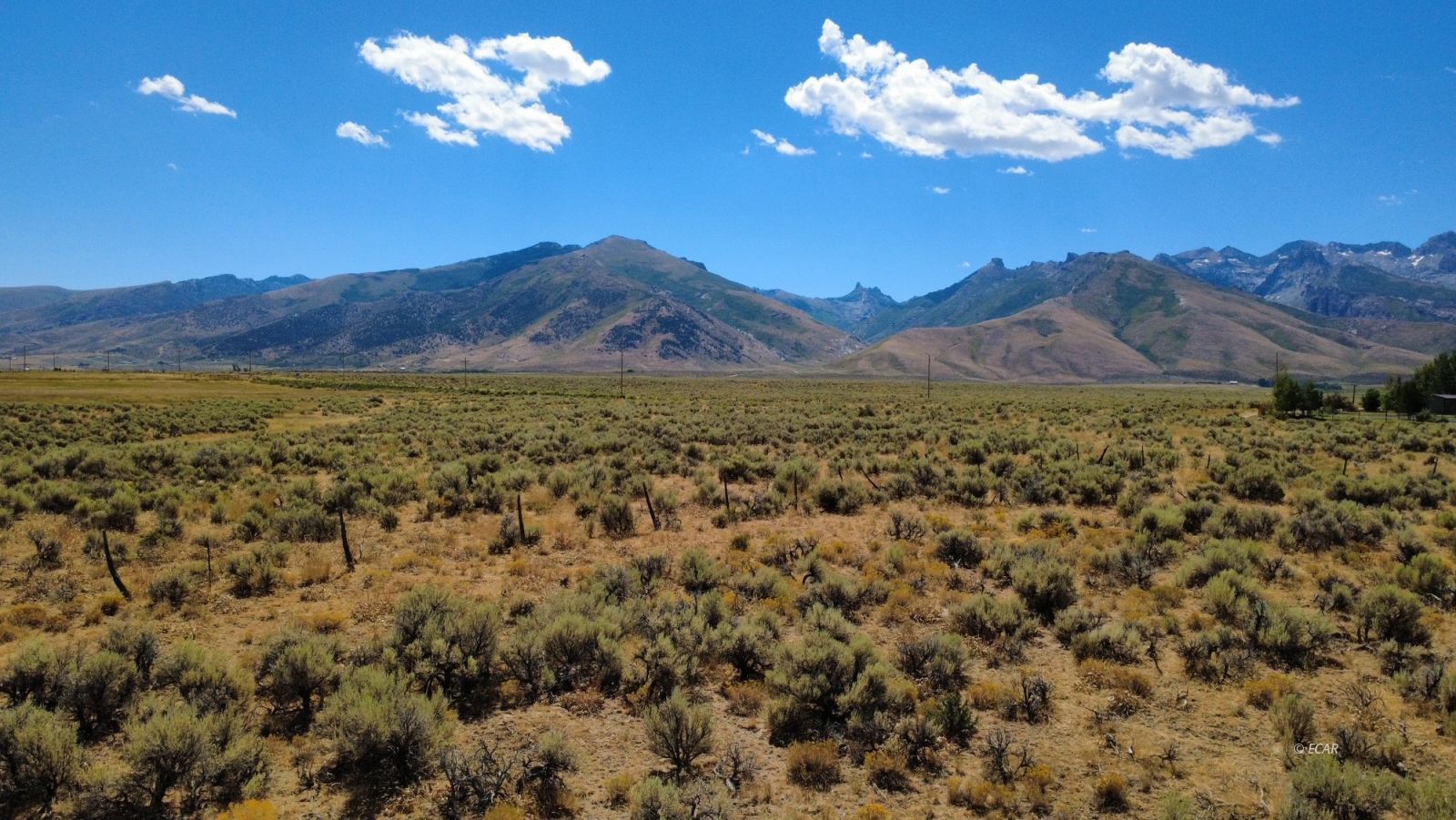 80.21 Acres Parcel A Property Photo 5