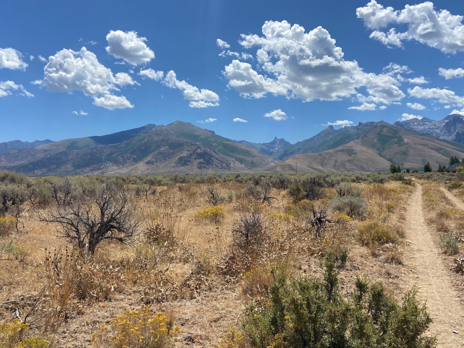 80.21 Acres Parcel A Property Photo 6