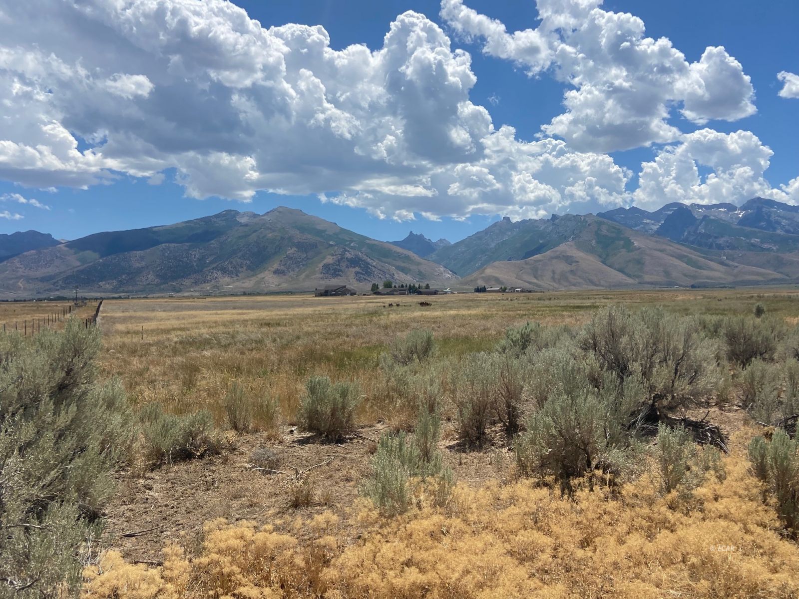 80.21 Acres Parcel A Property Photo 10