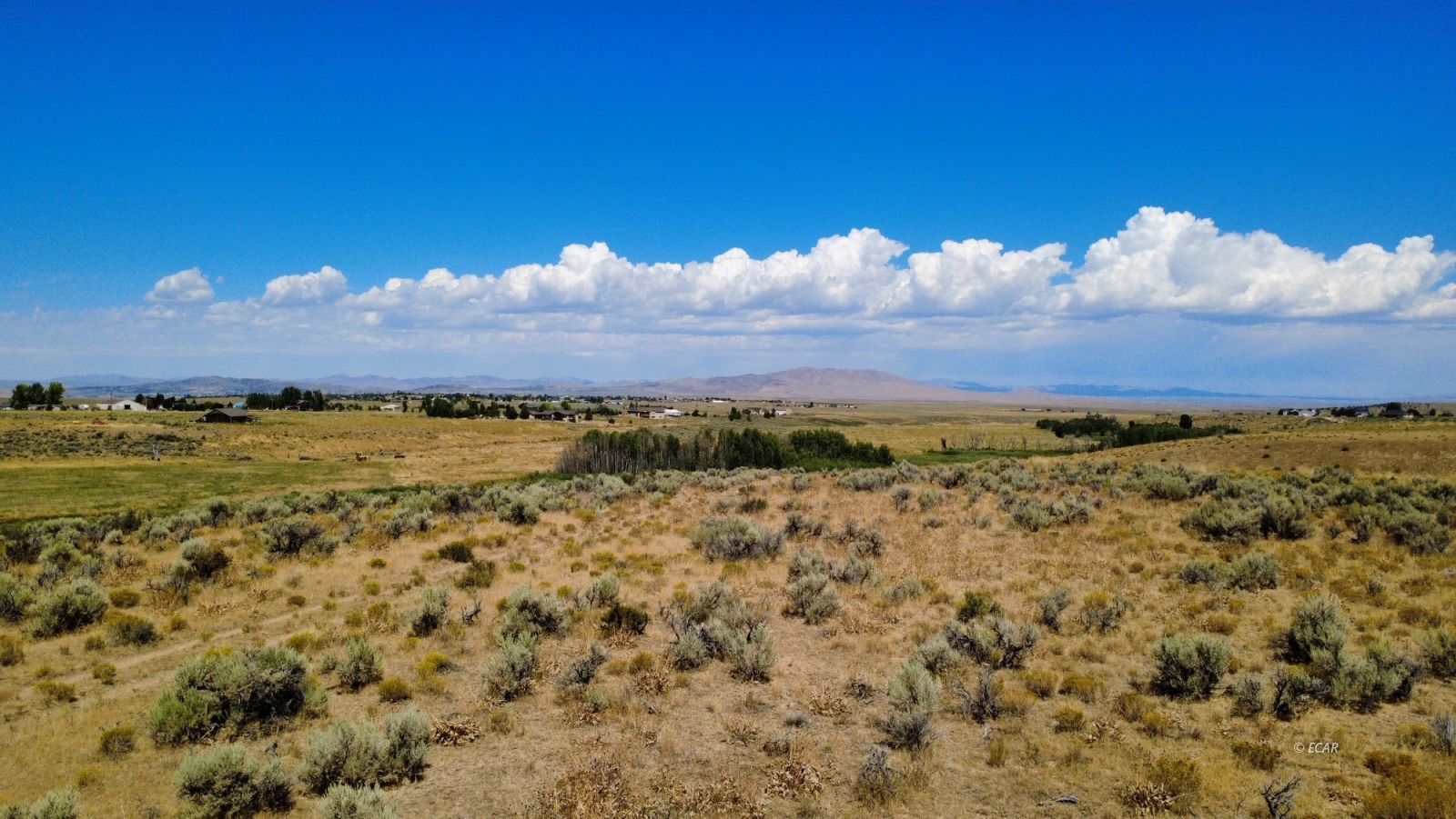 80.21 Acres Parcel A Property Photo 12